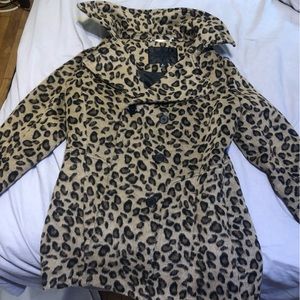 Beautiful Cheetah print teddy coat for sale